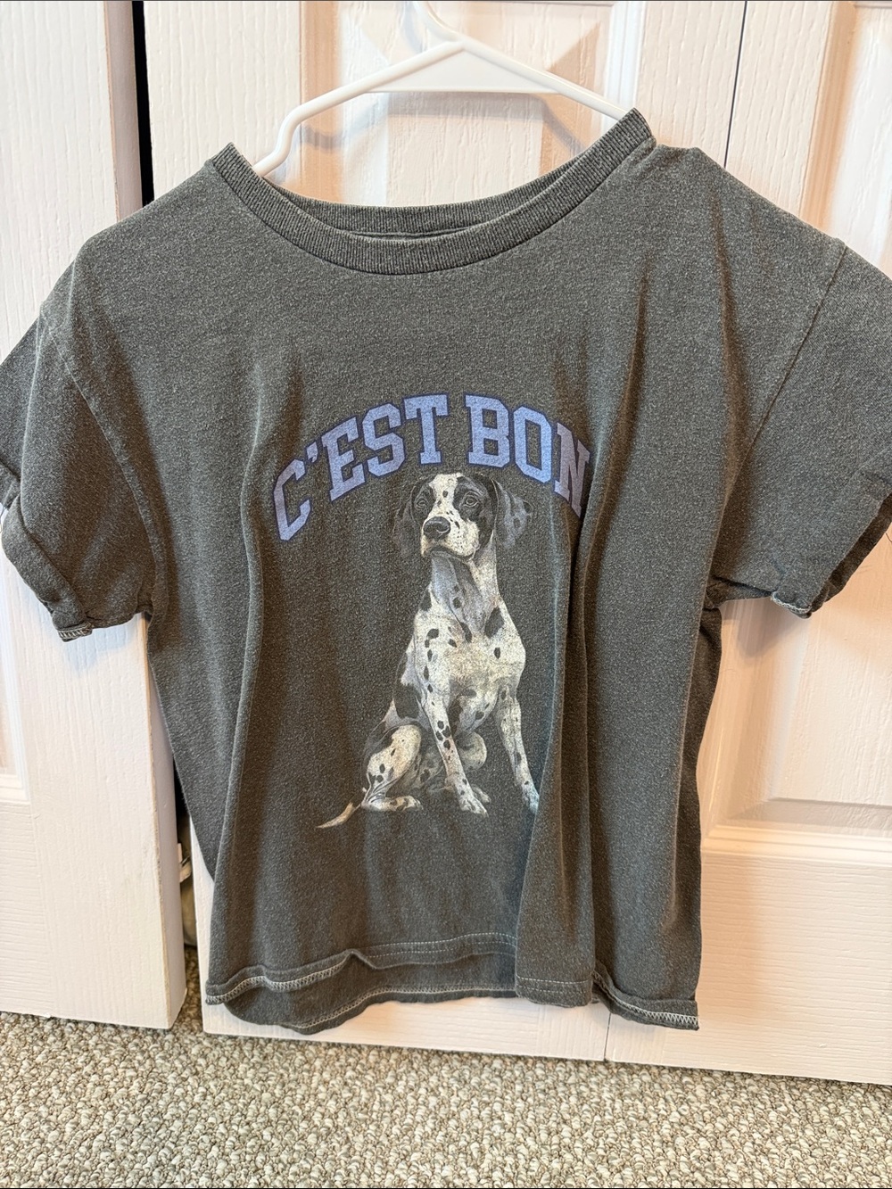 Anthropologie Charcoal Gray Dog Graphic Tee with Dalmatian and Blue Text